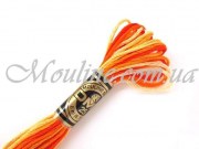 Мулине ДМС меланж 051 Variegated Burnt Orange 